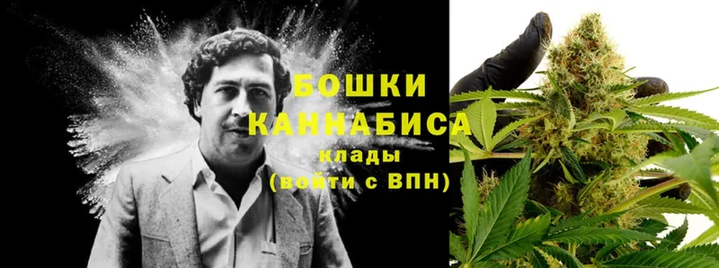 где купить наркоту  Лыткарино  Каннабис OG Kush 